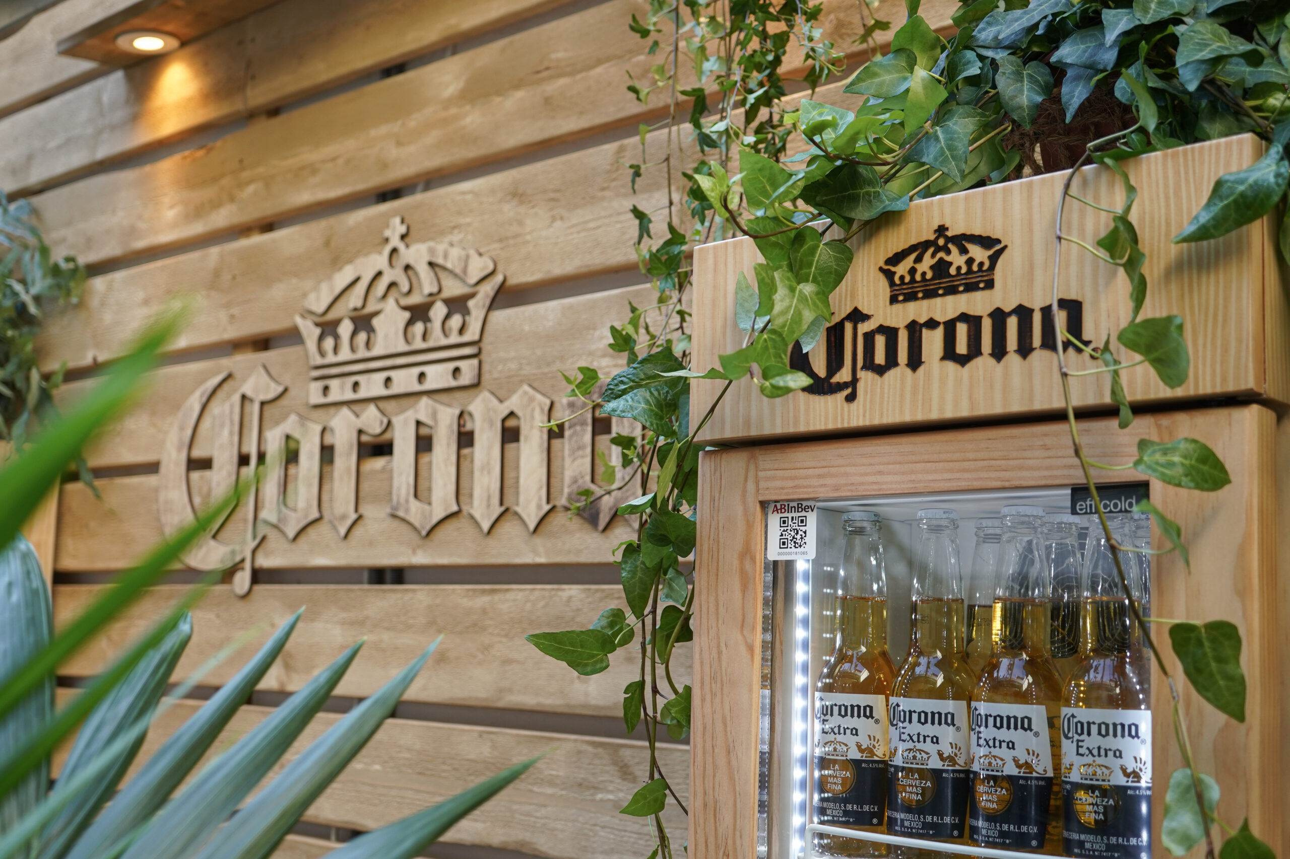 Corona_Koi